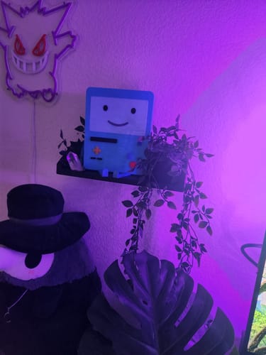 Customer photo review of BMO Stand™