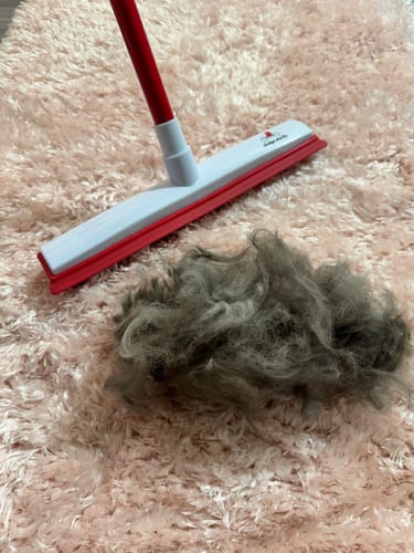 Customer photo review of Indigo Pet Hair Removal Broom