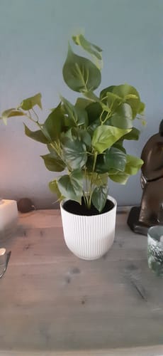 Customer photo review of Dieffenbachia Kunstplant 45cm