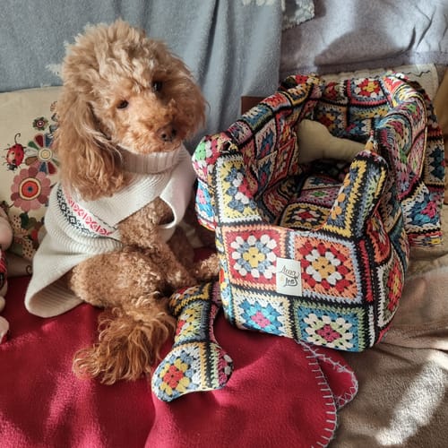 Customer photo review of Trasportino Gobelin Stampato Crochet