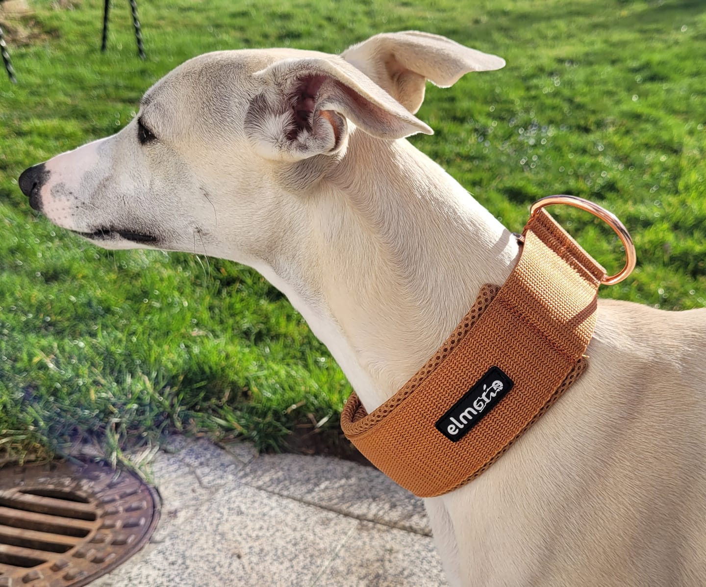 Customer photo review of Halsband Zugstopp