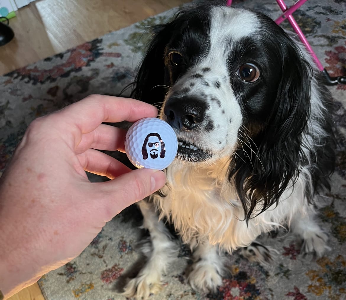 Customer photo review of Dude