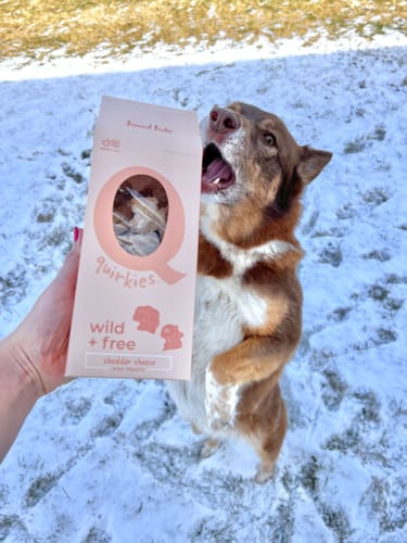 Customer photo review of Quirkies Biscuits