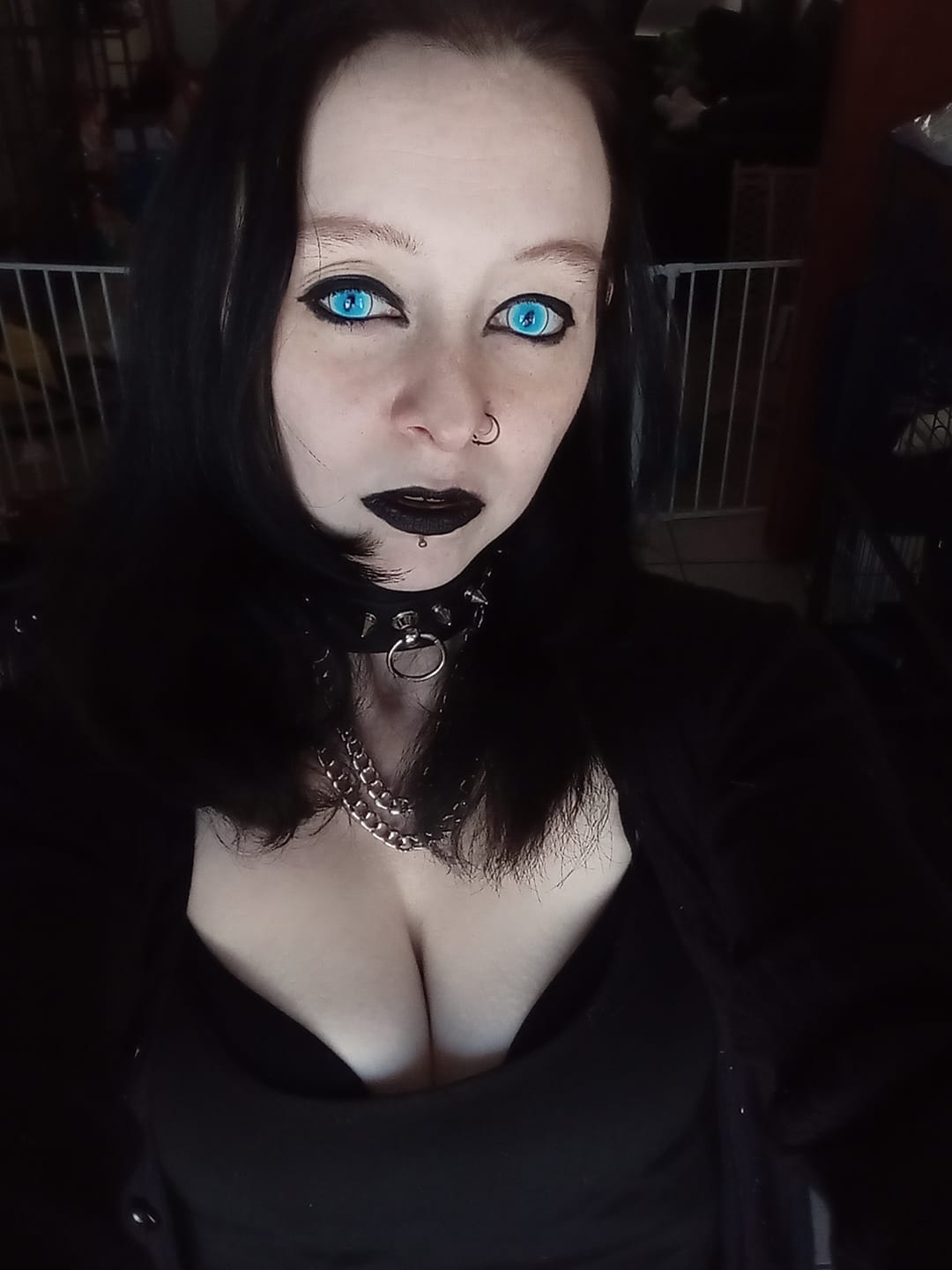 Customer photo review of Cosplay Ragdoll Cat Blue Colored Contact Lenses