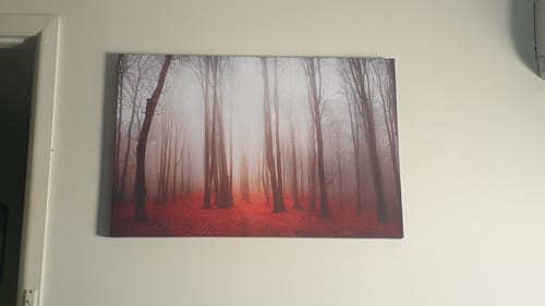 Customer photo review of Forest of Fire