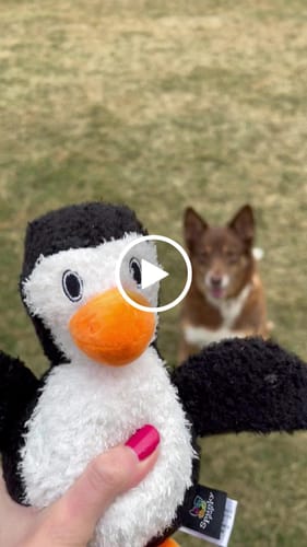 Customer video review of Furry Friends Plush Toys