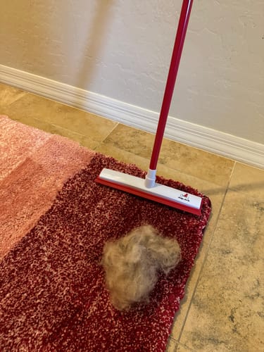 Customer photo review of Indigo Pet Hair Removal Broom