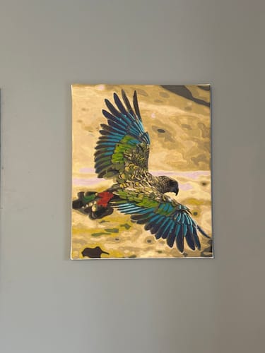 Customer photo review of Kea