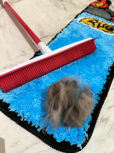 Customer photo review of Indigo Pet Hair Removal Broom