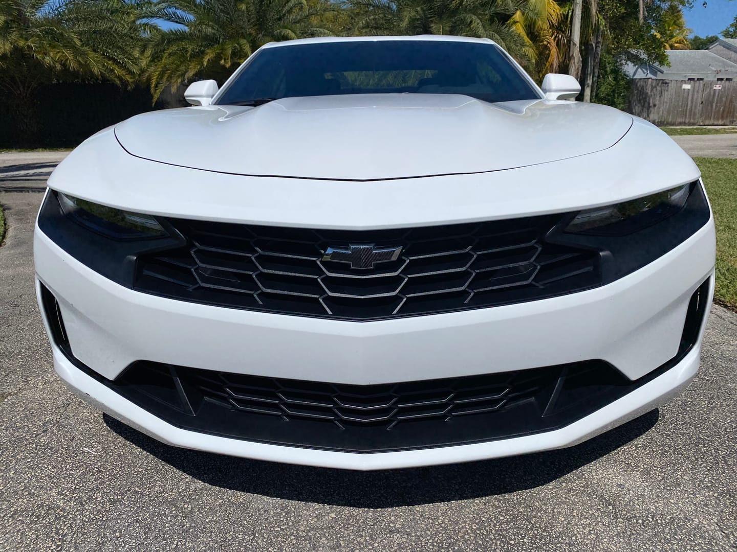 Customer photo review of 2016-2024 Camaro  Carbon Fiber Exterior Bow tie Covers
