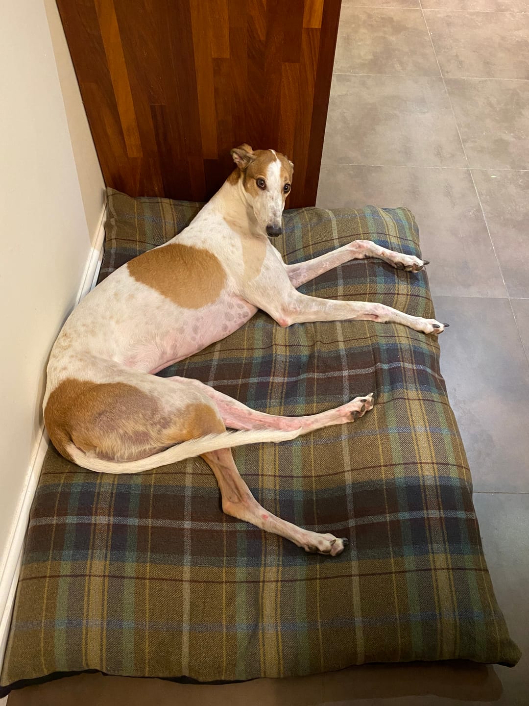 Customer photo review of Tartan Wool Touch Fabric