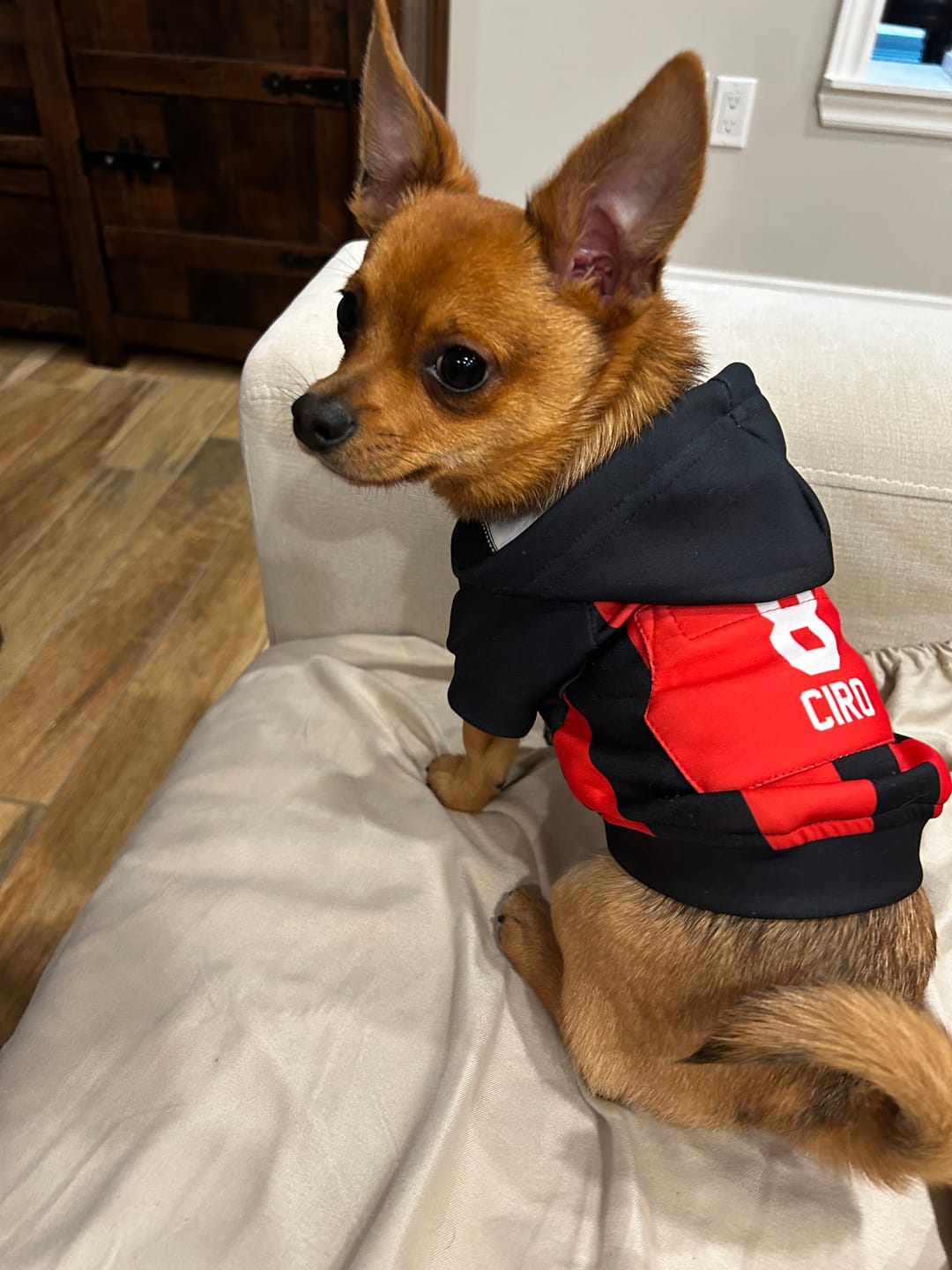 Customer photo review of AC Milan Dog Hoodie