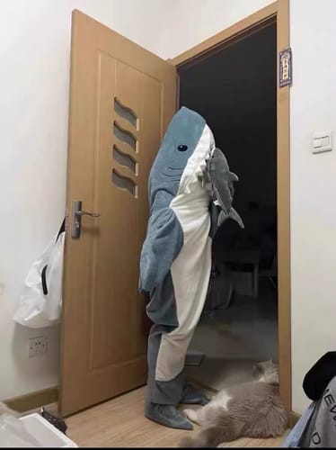 Customer photo review of Shark pajamas S149