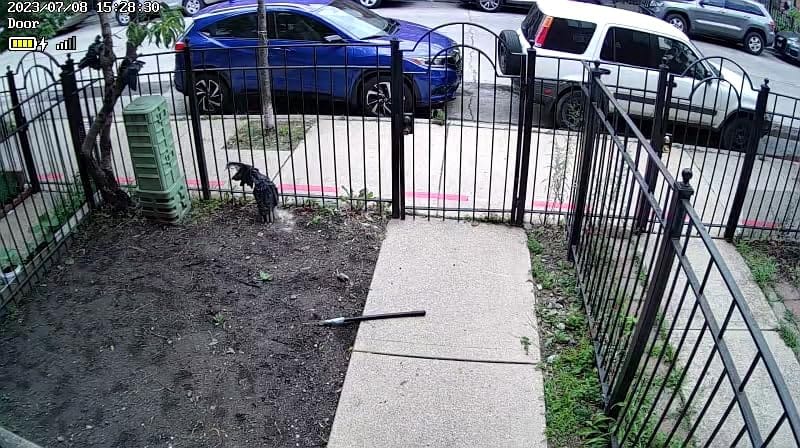 Customer photo review of LITLAMP™ 🎥Smart Wireless Solar Surveillance Camera