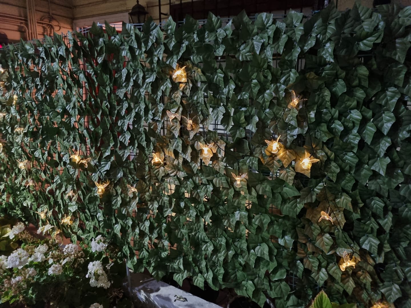Customer photo review of Colibrís Solares - IP65 Luz Cálida/Colores Largo 3,7 m
