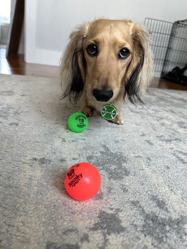 Customer photo review of Fetch & Glow Balls
