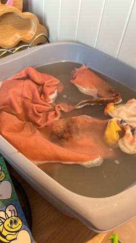 Customer photo review of Pure Laundry Powder