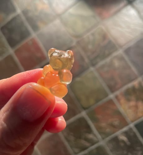 Customer photo review of Organic Sea Moss Gummy Bears