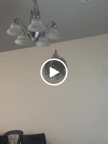 Customer video review of Ayatul Kursi Calligraphy Shiny Silver Metal Islamic Wall Art