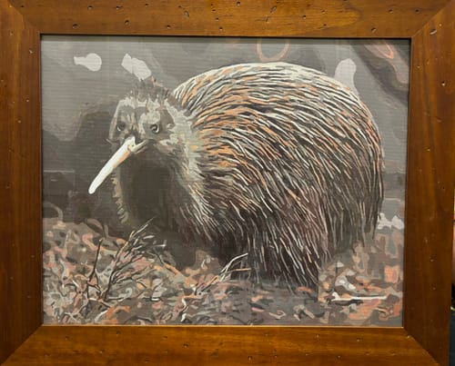 Customer photo review of Little Brown Kiwi