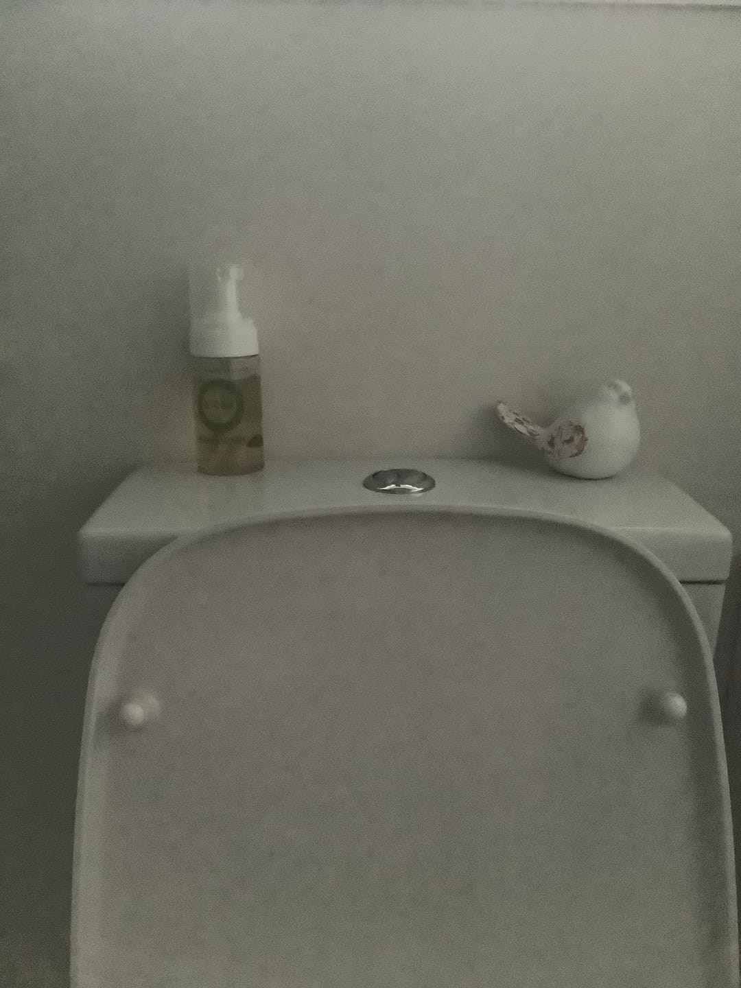 Customer photo review of 250ml BDÉT Foam Wash Refill