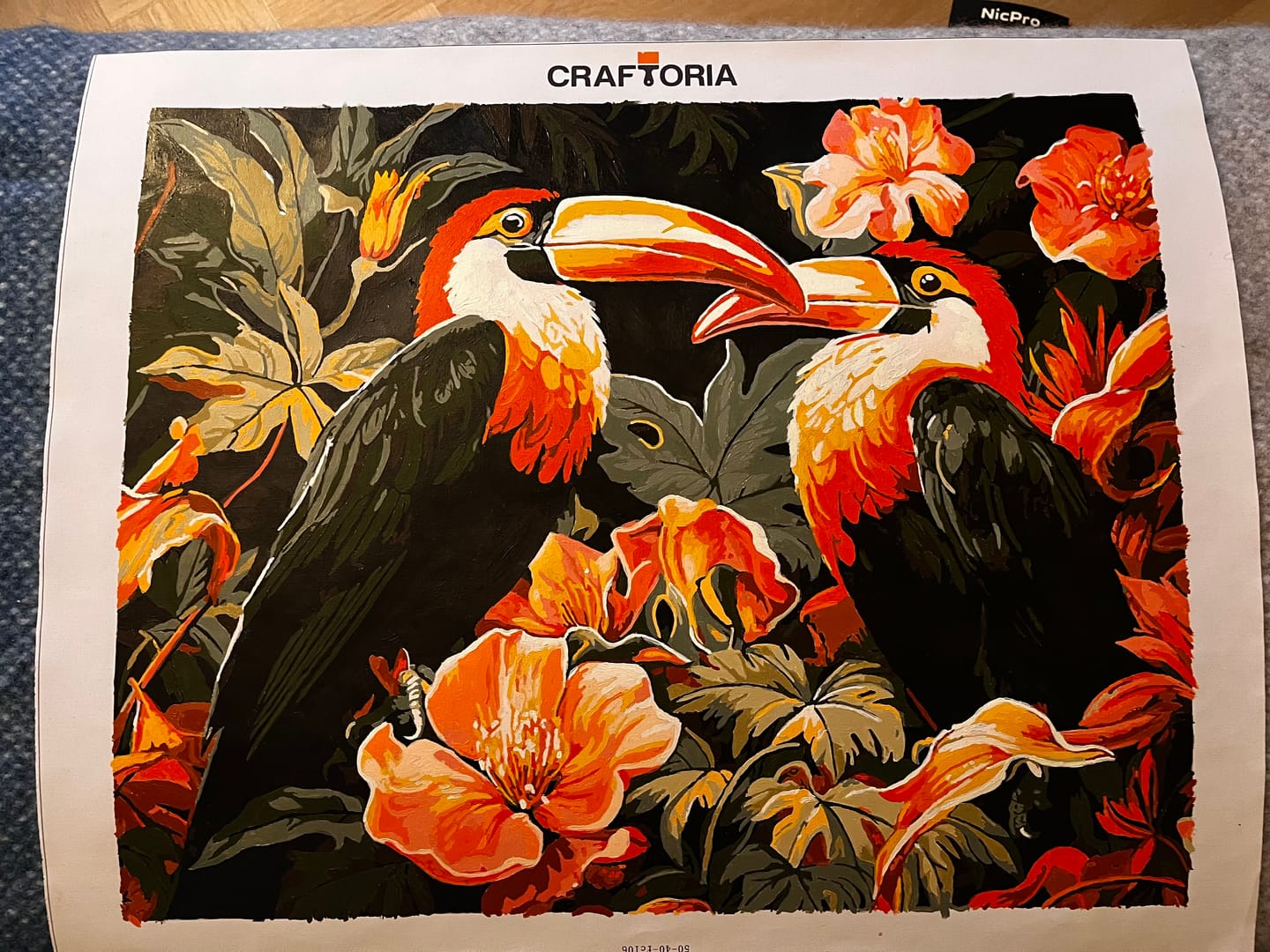 Customer photo review of Toucan Rhythm