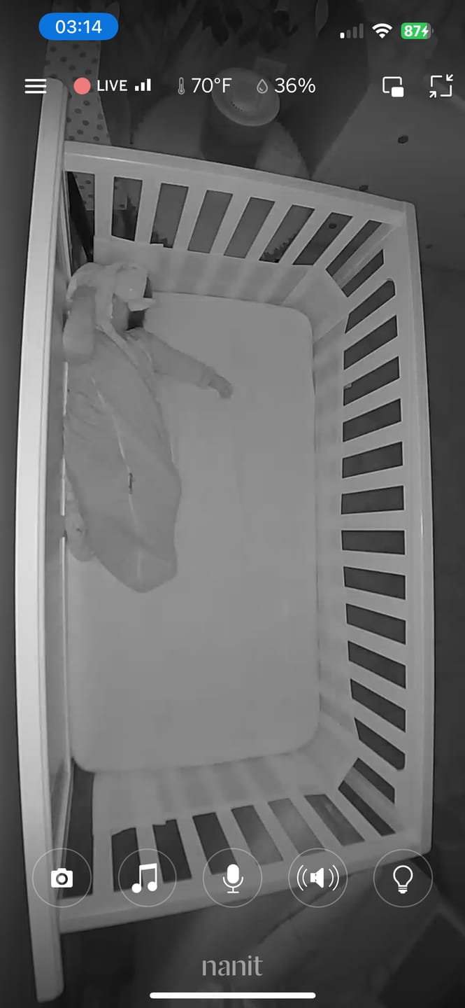 Customer photo review of Bella Tunno x Taking Cara Babies Lovey Dog 3-Pack