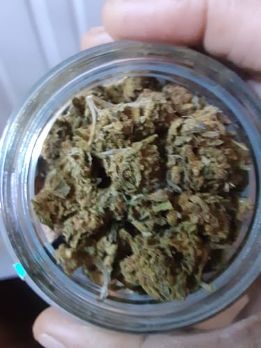 Customer photo review of Flower Delta 8 THC Wedding Cake