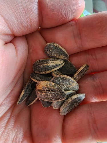 Customer photo review of VARIETY PACK