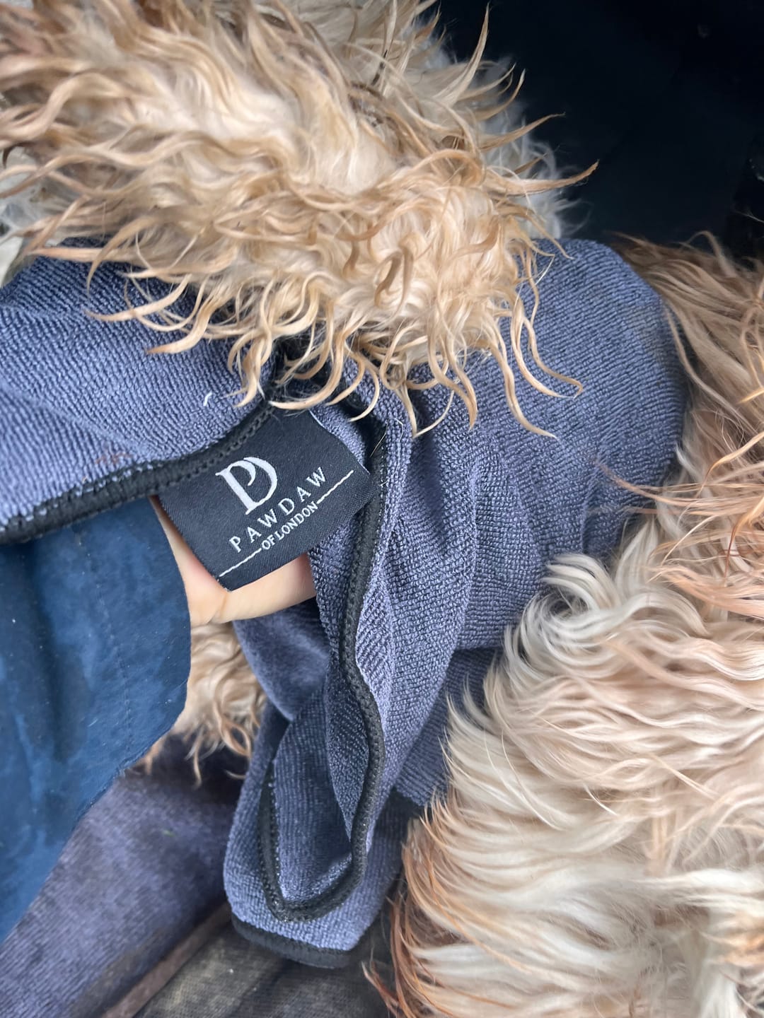 Customer photo review of Luxury Dog Paw Towels