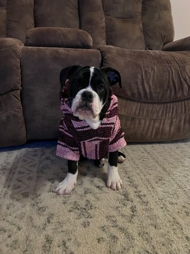 Customer photo review of Playa Poncho - Surprise Color