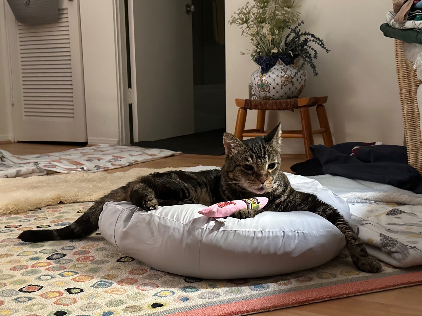 Customer photo review of Earl Grey Pudding Bed