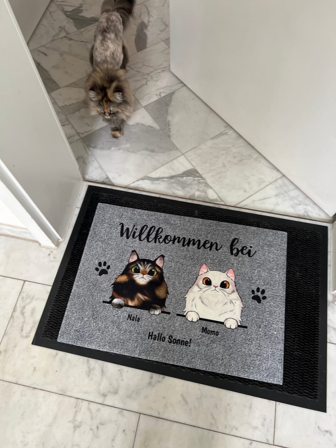 Customer photo review of Willkommen bei neugierigen Katzen - Individuelle Fußmatte