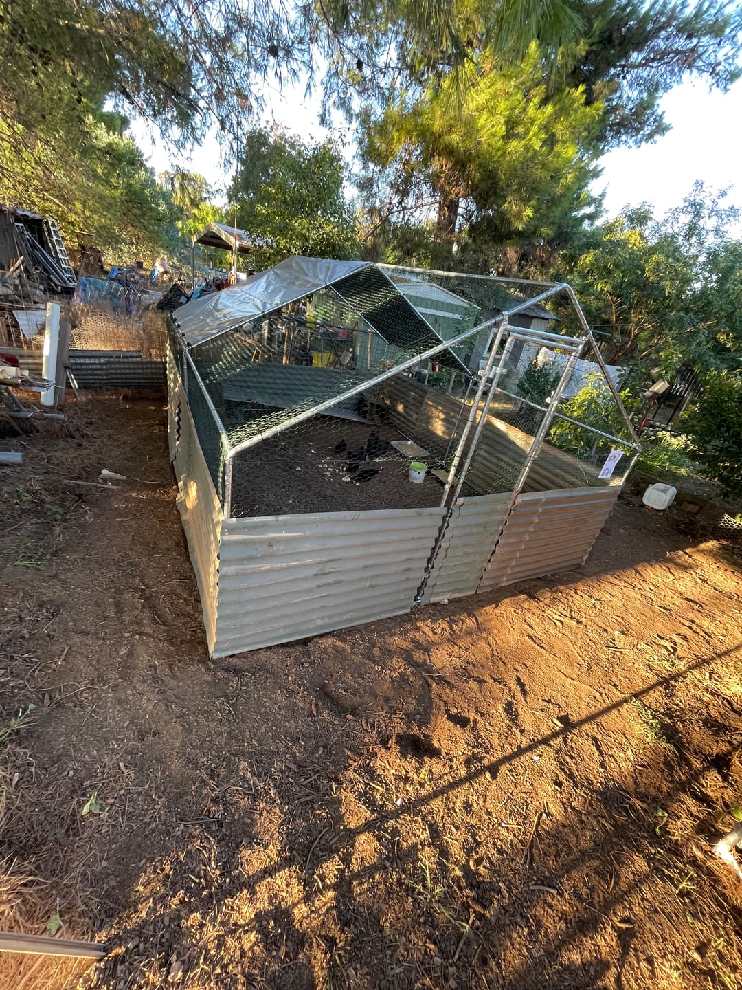 Customer photo review of Premium Large Walkin Chicken Coop