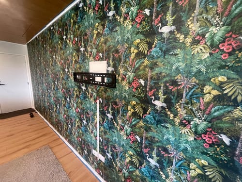 Customer photo review of Masoala Wallpaper - 4 colours