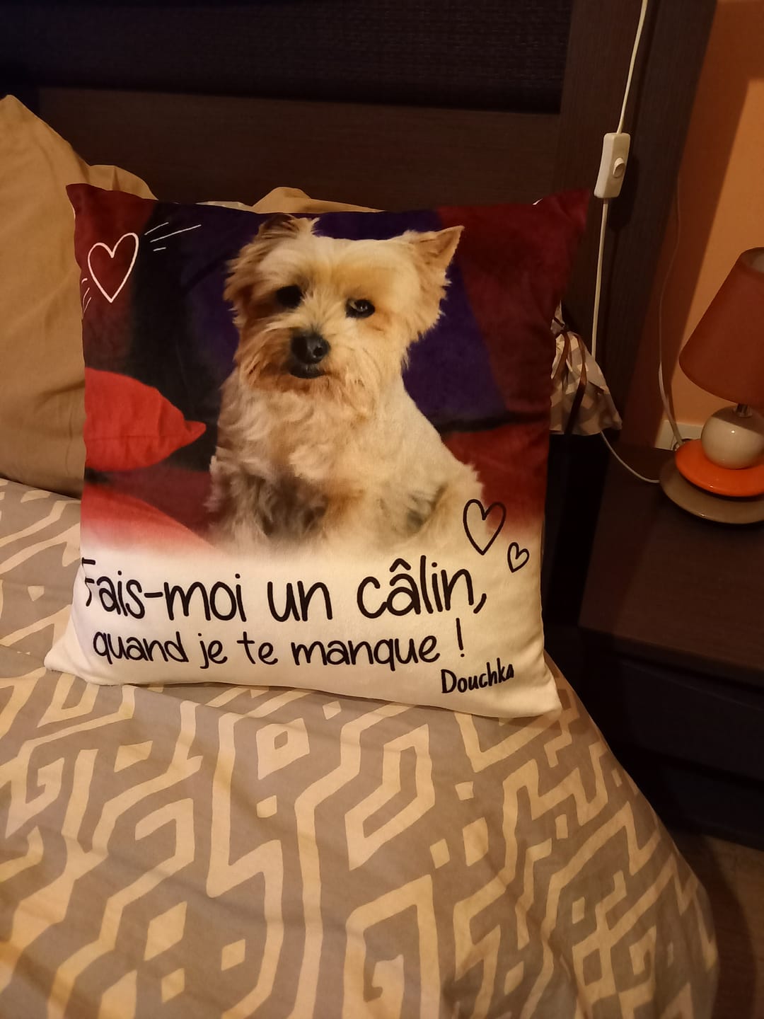 Customer photo review of Fais moi un câlin quand je te manque - Coussin personnalisé