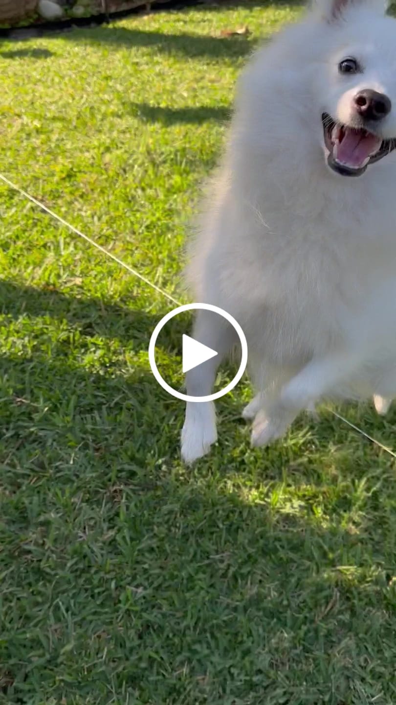 Customer video review of Roll of Line (500 ft)