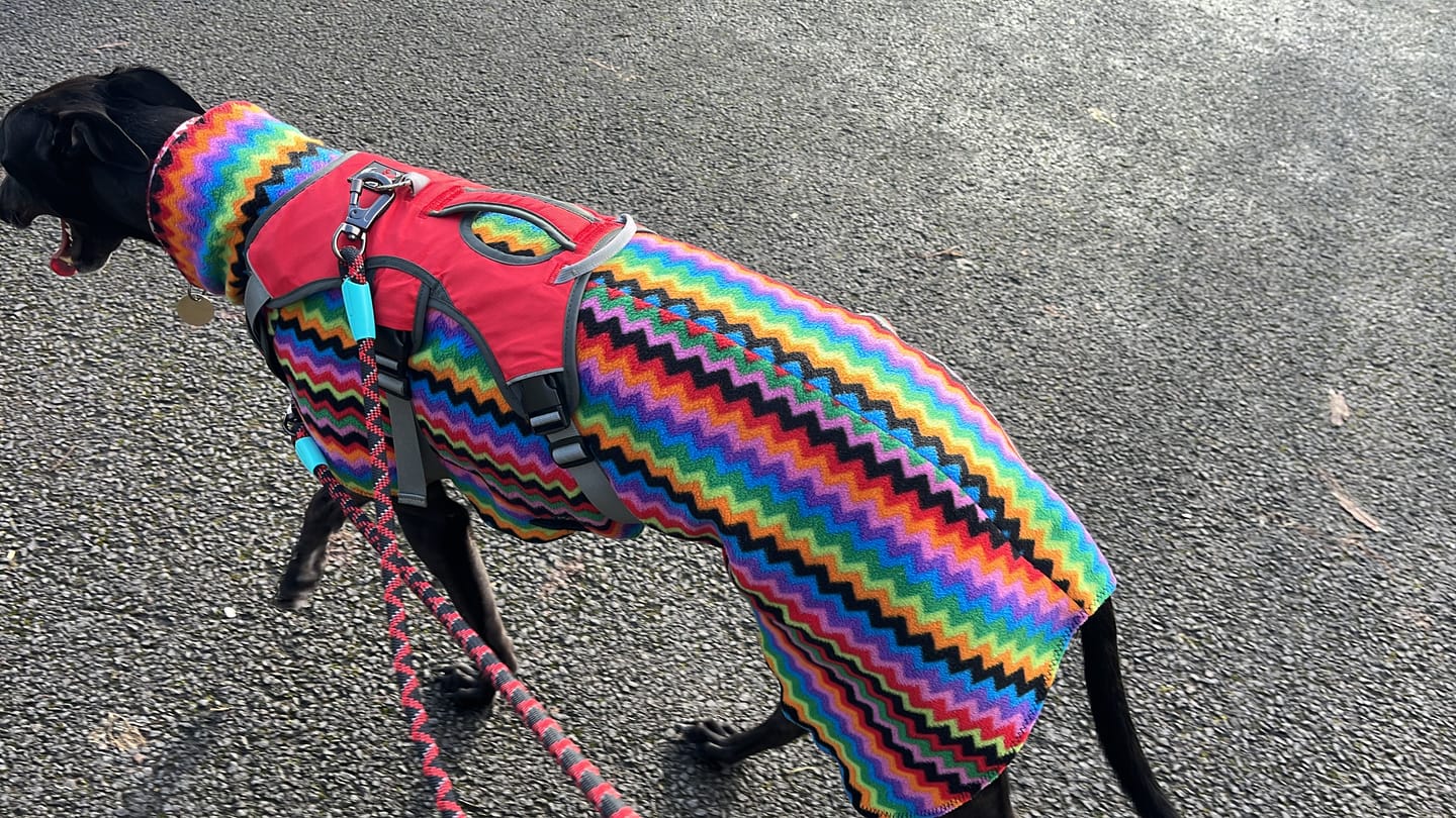 Customer photo review of Multicoloured Zig Zag Anti Pill Polar Fleece