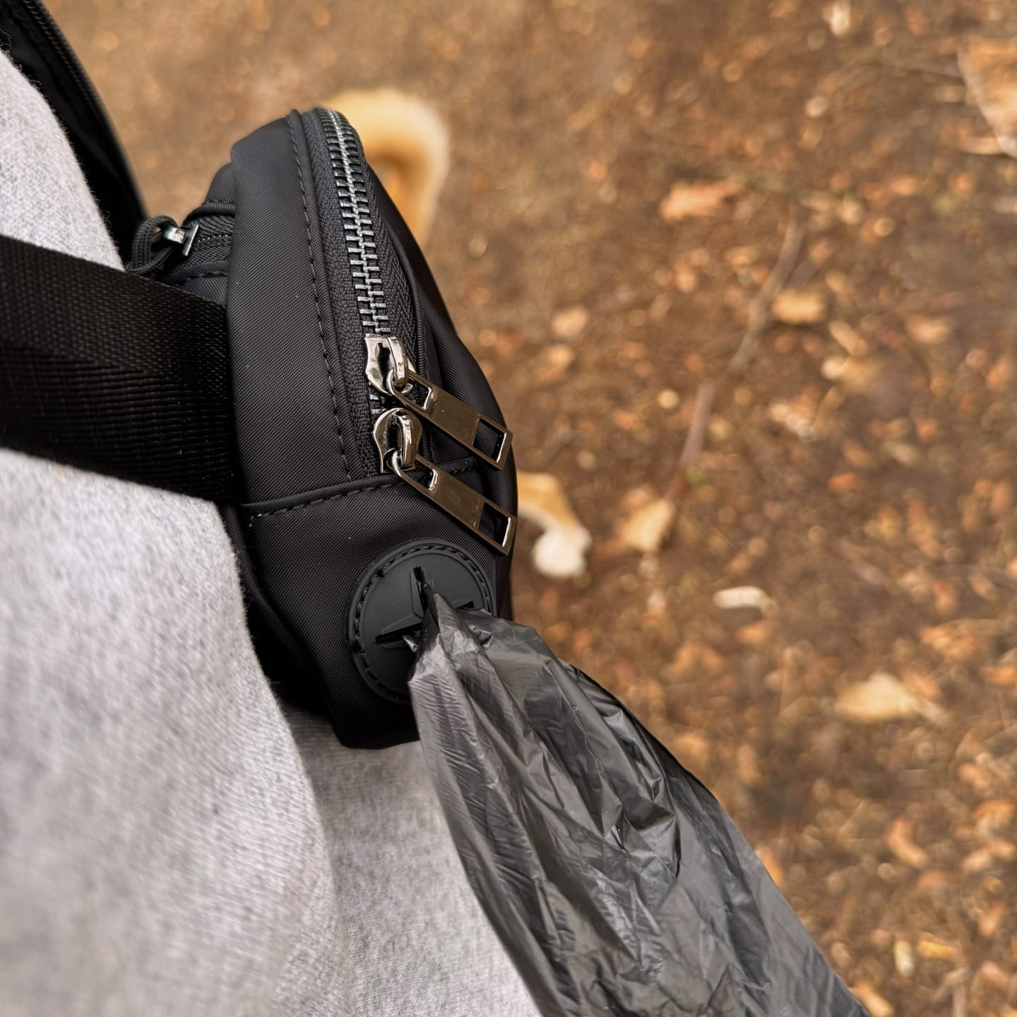 Customer photo review of Daily Belt Bag