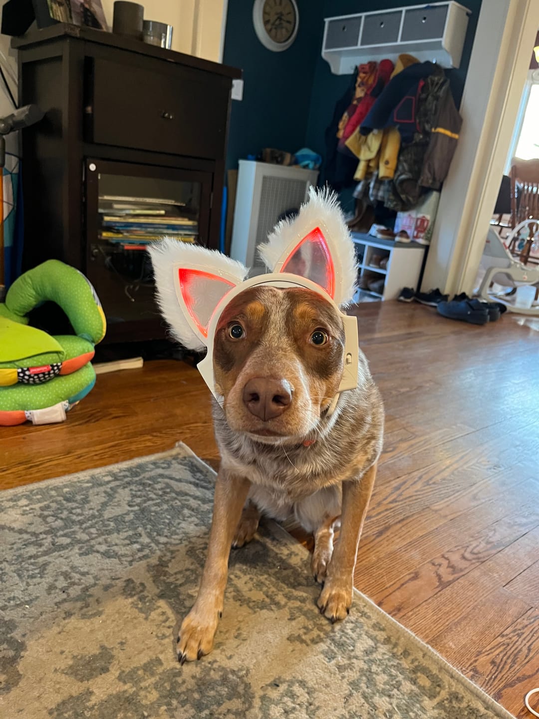Customer photo review of LED Infinity Mirror Cat Ears