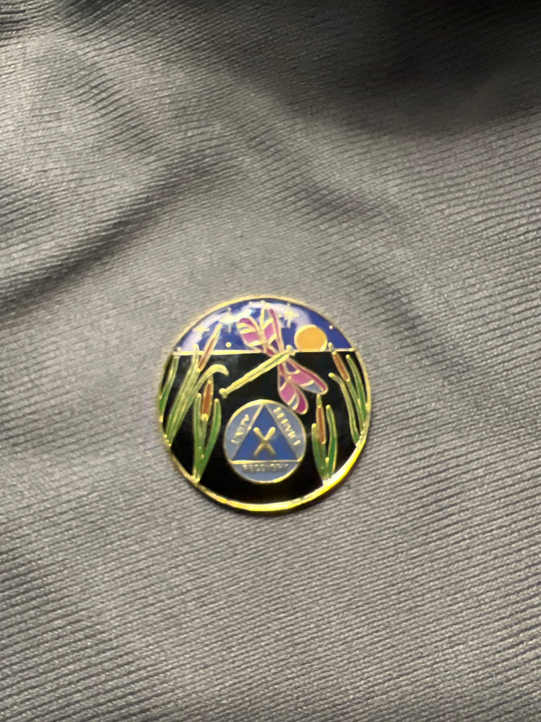 Customer photo review of 1 to 60 Year Dragonfly 9th Step Specialty AA Recovery Medallion - Tri-Plated Chip/Coin