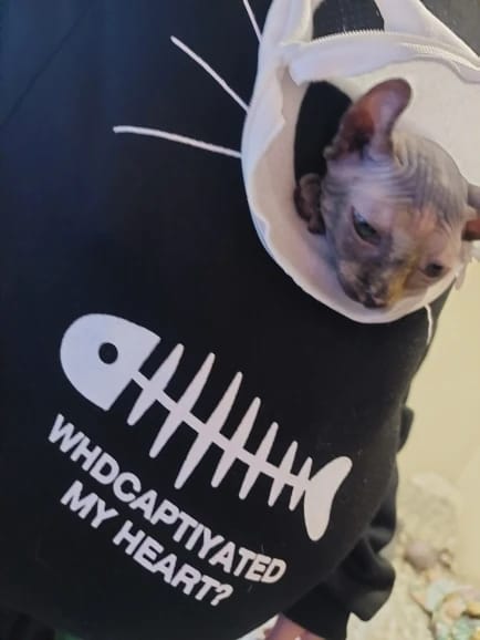 Customer photo review of Pawsome Cat Pocket Hoodie