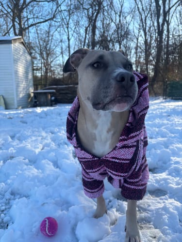 Customer photo review of Playa Poncho - Surprise Color