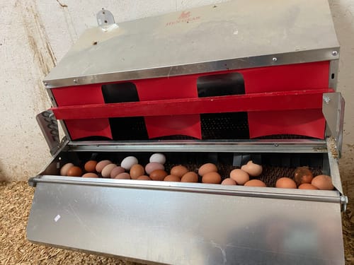 Customer photo review of Medium (34") Reversible Rollout Nest Box (Up to 32 Hens) - Premium Grade - Ready to Ship