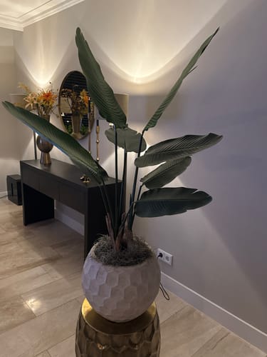 Customer photo review of Strelitzia Kunstplant 120cm