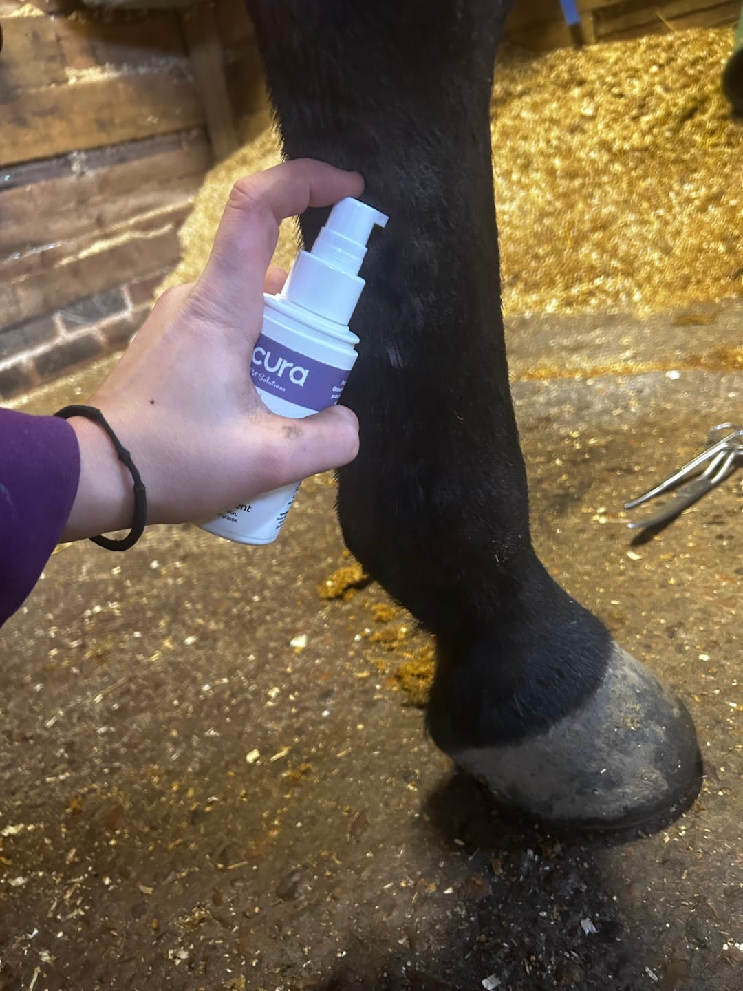 Customer photo review of Horse Skin Rescue Bundle