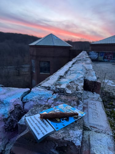 Customer photo review of LooseLeaf X Cookies 2 Pack Wraps