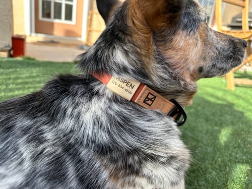 Customer photo review of Slide-On ID Tag