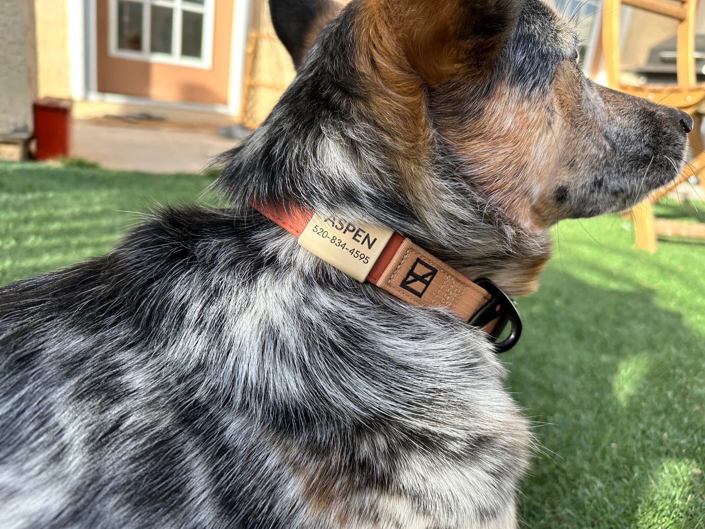 Customer photo review of Slide-On ID Tag