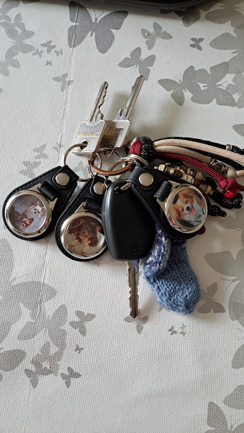 Customer photo review of Schlüsselanhänger-Bundle Leder 3x dein Foto für nur 19,90 €